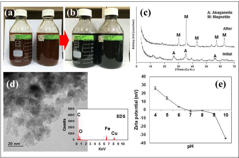 거차-1 미생물에 의해 합성된 자철석 사진(a),과 침전물의 XRD(b), TEM-EDS(c), Zeta potential (d) 분석 결과