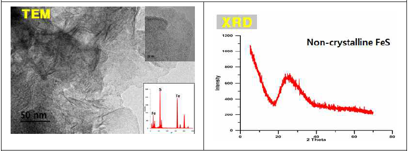 갯벌 미생물을 이용하여 합성한 생나노 비정질 황화철의 HRTEM-EDS 사진(좌) 및 XRD 분석(우)