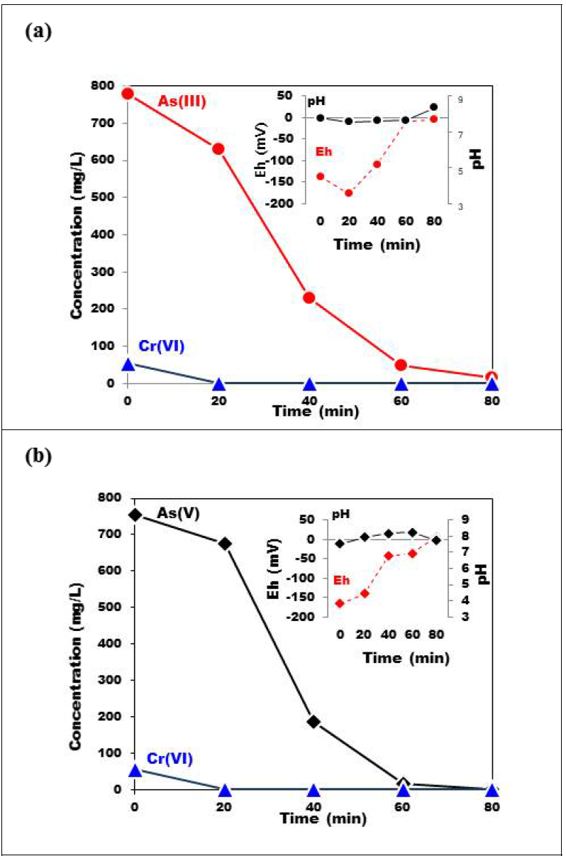생나노황화철을 이용한 복합오염수(비소+크롬) 정화 : 3가비소와 6가 크롬 오염수에서의 농도 변화(a), 5가 비소와 6가 크롬 오염수에서의 농도 변화(b)