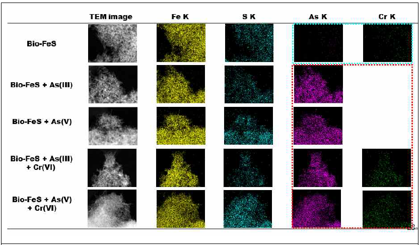 생나노황화철을 이용한 복합오염수(비소+크롬) 반응 후 침전물의 원소 분포