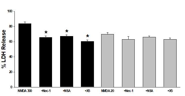 Effects of pretreatment with necrostatin-1 (Nec-1), necrosulfamide (NSA) and necroX-5 on the 5 min exposure to 300 μM NMDA- and 24 hr exposure to 20 μM NMDA-induced death in mixed cortical cultures. Each column and vertical bar represent the meanα±SEM from 4-8 wells. *; Significantly different from corresponding NMDA treatment (p<0.05)