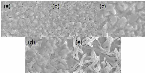 Mixed Lead Halide 페로브스카이트 SEM image