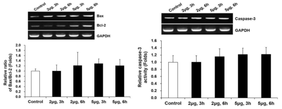 Tunicamycin(TM)으로 처리한 돼지 체세포의 Apoptosis 유전자 발현(means±SEM)