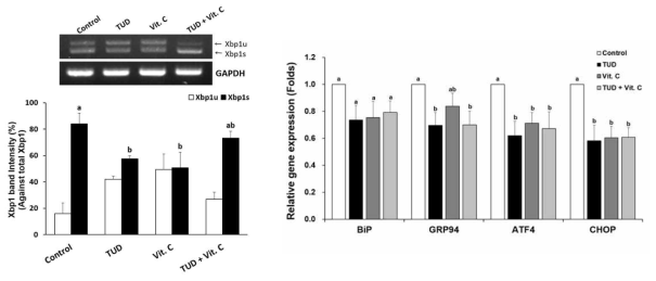 TUDCA와 Vit. C 처리에 따른 SCNT 1-세포기 배아의 ER stress 억제 효과. (좌) Xbp1 mRNA 발현, (우) ER stress 관련 유전자 발현 (means±SEM). TUD, 100 μM TUDCA; Vit. C, 100 μM vitamin C. a-b P<0.05