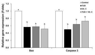 TUD와 Vit.C 처리된 SCNT 1-세포기란의 apoptosis 유전자발현(means±SEM). TUD, 100 μM TUDCA; Vit. C, 100 μM vitamin C. a-b P<0.05