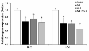 TUD와 Vit.C 처리된 SCNT 1-세포기 배아의 산화스트레스 관련 유전자 발현 (means±SEM). TUD, 100 μM TUDCA; Vit. C, 100 μM vitamin C. a-b P<0.05