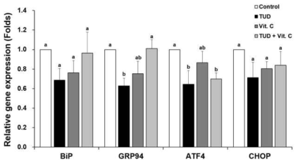 TUDCA와 Vit. C 처리에 따른 SCNT 배반포기 배아의 ER stress 관련 유전자발현 (means±SEM). TUD, 100 μM TUDCA; Vit. C, 100 μM vitamin C. a-b P<0.05
