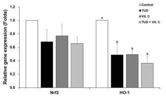 TUD와 Vit.C 처리된 SCNT 배반포기 배아의 산화스트레스 관련 유전자 발현 (means±SEM). TUD, 100 μM TUDCA; Vit. C, 100 μM vitamin C. a-b P<0.05