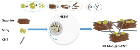 3D MoS2@graphite-CNT 복합전극 제조 과정 모식도