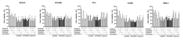 난소암 세포주에서 항암제와 PI3K-Akt-mTOR pathway의 병합치료에 대한 효과평가