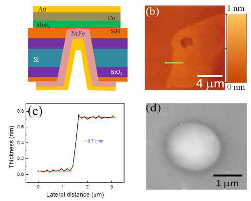 a. 초순수 접합 스핀밸브의 개략도 b. 뚫어진 구멍위에 올려진 monolayer MoS2 의 AFM 사진 c. Monolayer MoS2 의 heigh profile d. 강자성체 전극 박막이 증착완료 된 후 완성된 소자의 SEM 사진