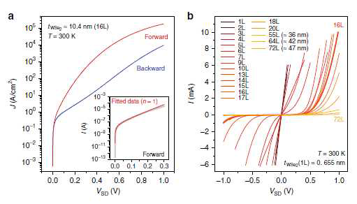(a) Gd-WSe2-Pt p-i-n 수직형 diode 구조의 상온 정류 특성. (b) WSe2 층수를 달리하여 만든 p-i-n 소자들의 I-V 특성. 16층의 WSe2로 만든 Gd-WSe2-Pt 소자는 뚜렷한 정류 특성을 보여준다
