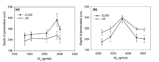 요소수지분자량에 따른 목재침투깊이. (a) 1.0 몰비수지, (b) 1.2 몰비수지