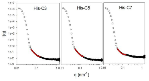 양친성 분자 자기조립체의 SAXS 분석을 통해 얻어진 Porod plot과 이에 대한 data fitting결과 (fitting data: 붉은 점으로 표시)