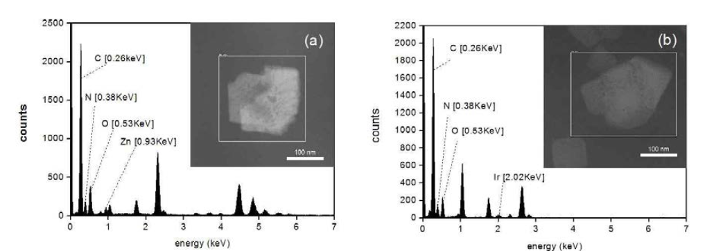 탄산무수화 효소의 활성화 부위에 존재하는 이온 교환에 따른 EDX 스펙트럼의 변화 및 SEM 사진