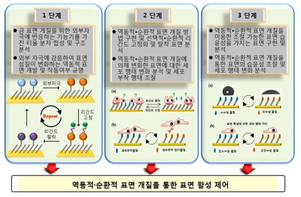 단계별 연구 목표 및 최종 연구 목표