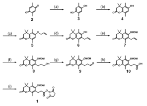 퀴논기를 포함하는 퀴논-NHS 분자의 합성 (a) Na2S2O4; (b) 3,3-dimethylacrylic acid, CH3SO3H; (c) allyl bromide, K2CO3, NaI; (d) BCl3-heptane; (e) MOMCl, DIPEA; (f) BH3-hexane, NaOH/H2O; (g) PCC; (h) KMnO4; (i) NHS/DCC