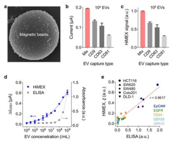 (a) EV sample을 incubation한 3μm직경의 Microbeads 전자 현미경 사진. (b, c) 3가지 타입의 microbeads에 비하여 3가지 혼합물을 사용하였을 때 HiMEX 신호가 가장 높음. (d) 기존 ELISA에 비하여 HiMEX 분석은 우수한 감도와 넓은 동적 범위를 나타냄. (e) 서로 다른 CRC 세포주로부터 EV를 단백질 마커로 프로파일링함. HiMEX 분석결과는 ELISA 결과와 우수한 일치율 (r=0.9617)을 보임