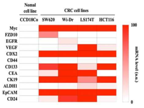 각 마커들의 4개의 대장암 셀라인(SW620, Wi-Dr, LS174T, HCT116)과 정상 셀라인(CCD18Co)에 따른 발현 정도