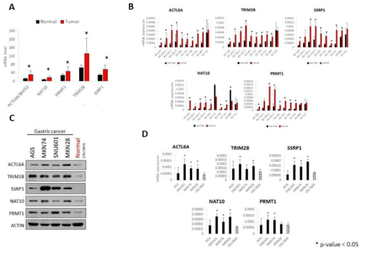 Five candidates are abnormally up-regulated in gastric cancer