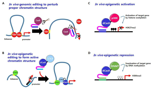 Epigenetic-editing technology 개발