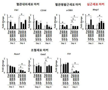 qPCR을 통한 극미소 표면구조 구배에 따른 세포 타입 평가