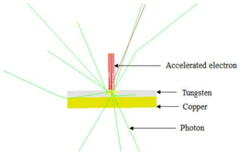 Monte Carlo simulation of interaction between target and accelerated electron