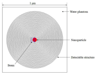 Schematic diagrams of Monte Carlo simulation geometry for secondary electrons production