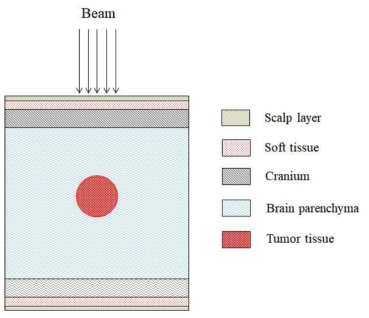 Geometric diagram of slab head phantom based the MIRD-ORND phantom