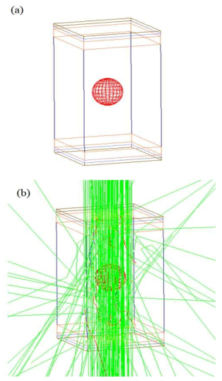 Representation of Monte Carlo simulation for physical characteristic of dose enhancement. (a) Geometric diagrams of slab head phantom with modeling of tumor tissue, (b) Trajectory of particle transportation in head phantom: photon(green), electron(red)