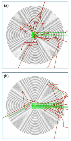 Trajectory of particle transportation for secondary electron production: photon(green), electron(red), black(detectable structure), (a) Interaction with 50 nm gold nanoparticle, (b) Interaction with water with 6 MV photon