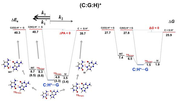 (C:H+:G)의 CID 반응 경로에 대한 이론적 연구 결과