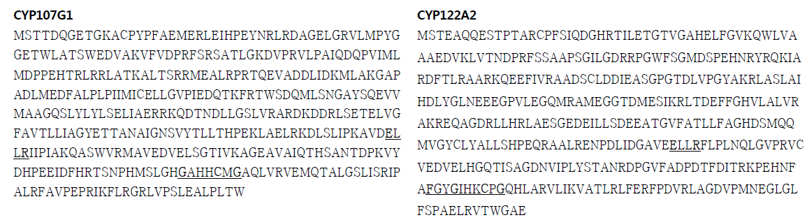 S. rapamycinicus에 존재하는 CYP107G1과 CYP122A2의 염기서열