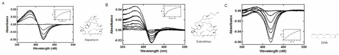 CYP107G1의 titration spectra와 기질의 구조. (A) rapamycin, (B) everolimus, (C) DHA