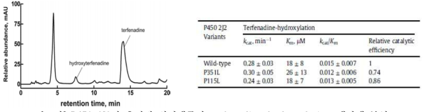 P450 2J2의 유전적 변이체들의 terfenadine hydroxylation 대사체 분석