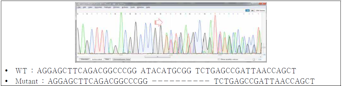 sgRNA target sequence 내에서 multiple peak 발생을 확인함