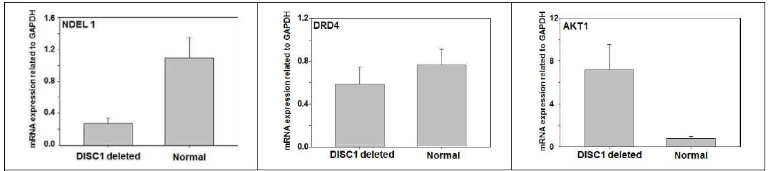 유전자 변이 세포의 관련유전자 (NDEL1, DRD4, AKT1) 발현률 차이 분석