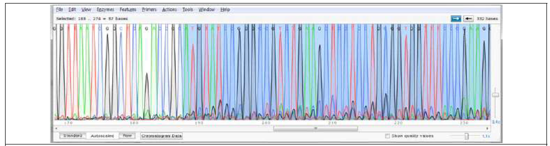 sgRNA+Cas9 injected fish (F0 embryo) 의 DNA sequencing 결과