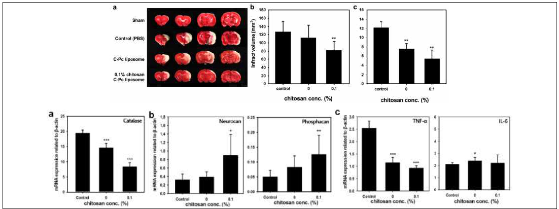 in vivo MCAO 모델을 이용한 약물전달체 효능평가 결과 및 해당 조직 내 세포분비물질의 분석