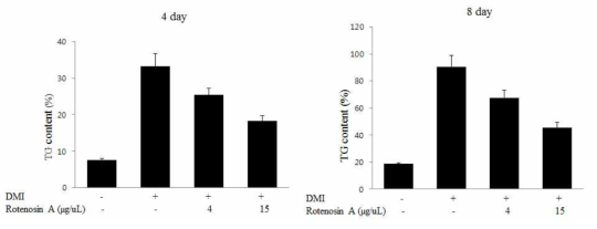 Rotenosin A에 의한 3T3-L1 지방 세포내 Triglyceride의 축척 감소