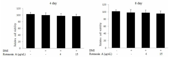 Rotenosin A 처리에 의한 3T3-L1의 세포 생사능 검사