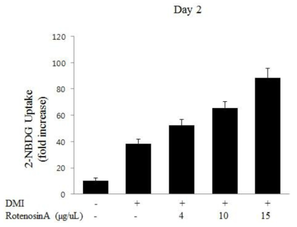 Rotenosin A에 처리에 의한 지방세포 내 Glucose uptake