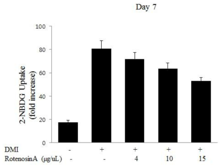 Rotenosin A에 처리에 의한 지방세포 내 Glucose uptake