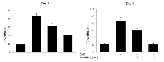 Toxifolin에 의한 지방 세포내 triglyceride의 축척 감소