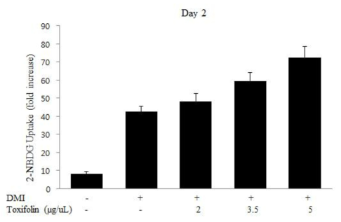 Toxifolin에 처리에 의한 지방세포 내 Glucose uptake