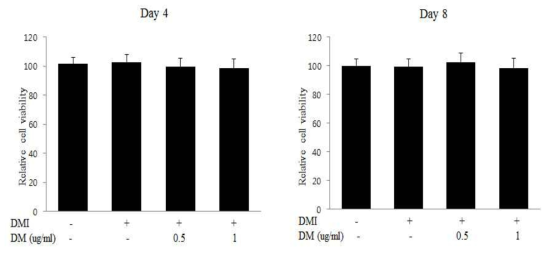 DM 처리에 의한 3T3-L1의 세포 생사능 검사