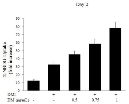 DM에 처리에 의한 지방세포 내 Glucose uptake