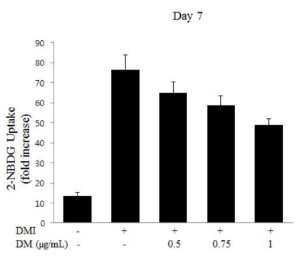 DM 처리에 의한 지방세포 내 Glucose uptake