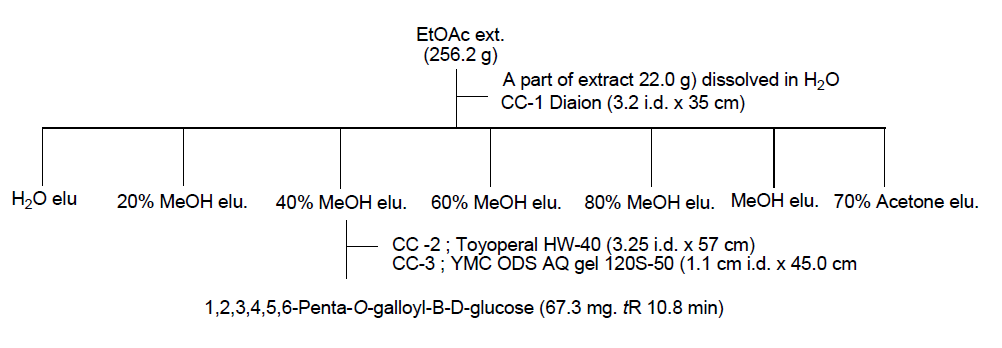 Liquid-liquid partition of the Galla Rhois