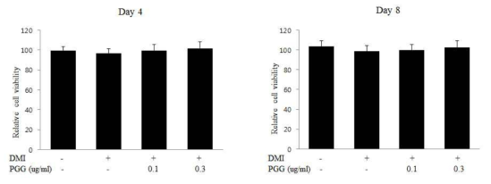 PGG 처리에 의한 3T3-L1의 세포 생사능 검사